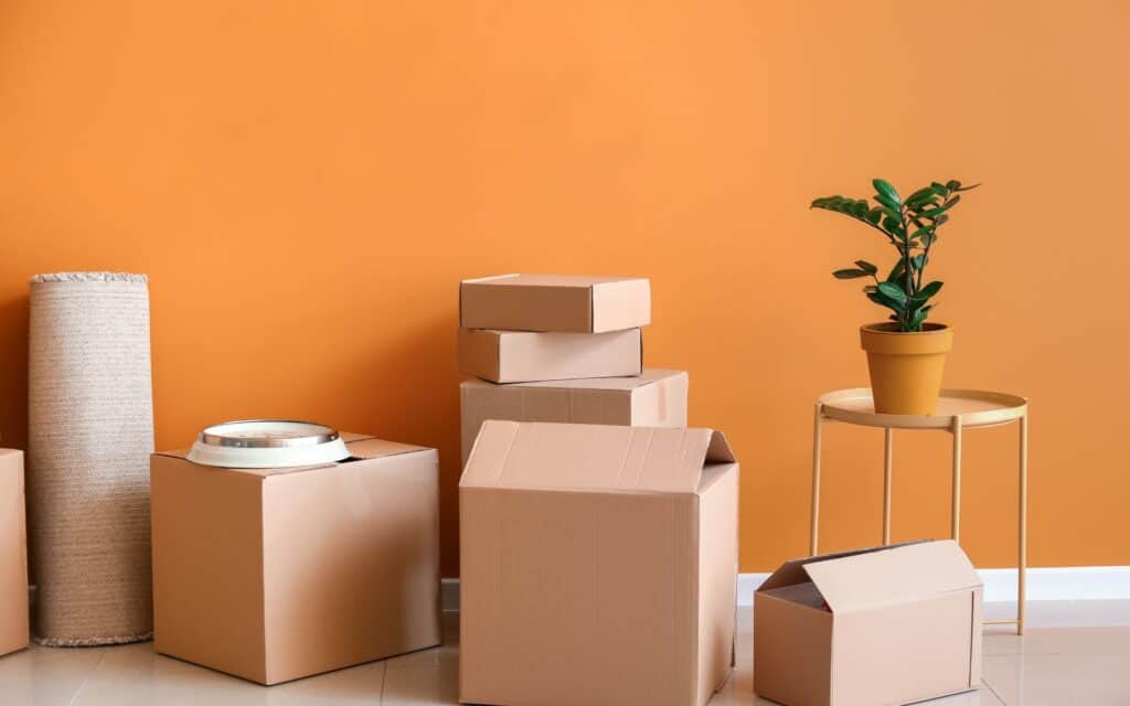 Several cardboard boxes, a rolled-up rug, a ceiling light fixture, and a potted plant on a small table are arranged against an orange wall.