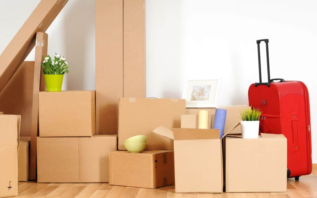 A group of packed cardboard moving boxes, a red suitcase, a green bowl, two potted plants, and a picture frame arranged on a wooden floor in a room.