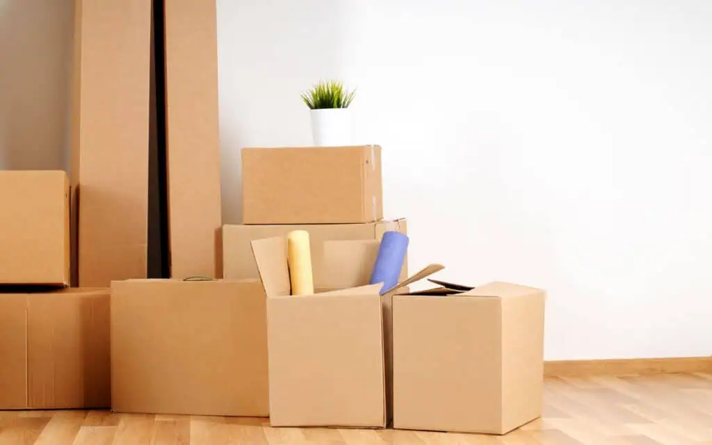A group of cardboard moving boxes, some open and some closed, sits on a wooden floor; a small potted plant is on top of one box.