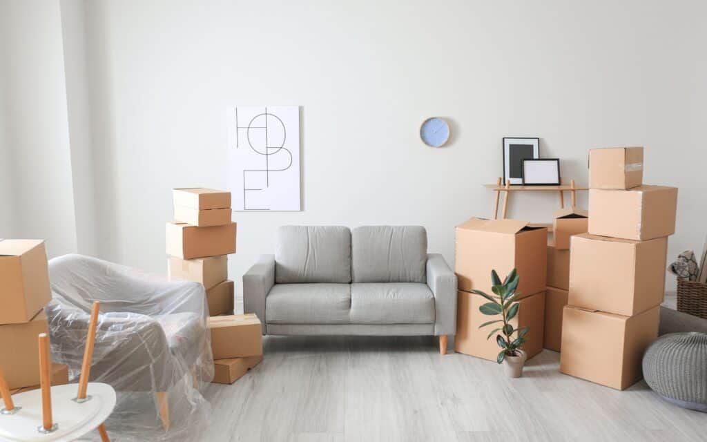 A living room with a gray sofa, cardboard boxes stacked around, a covered chair, small plant, and minimal wall decor, suggesting someone is moving in or out.